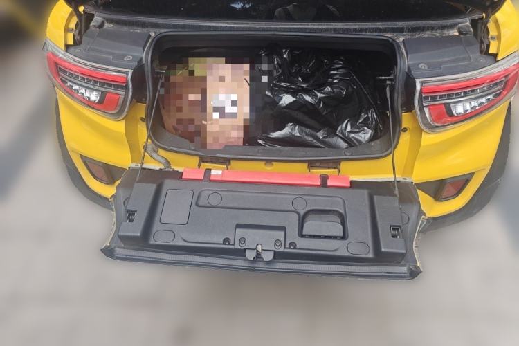 Used LITE 2017 Gravity Edition Trunk
