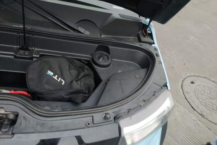 Used LITE 2019 R300 Gravity Edition Engine Bay Left