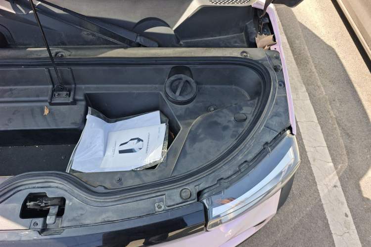 Used LITE 2019 R300 Gravity Edition Engine Bay Left
