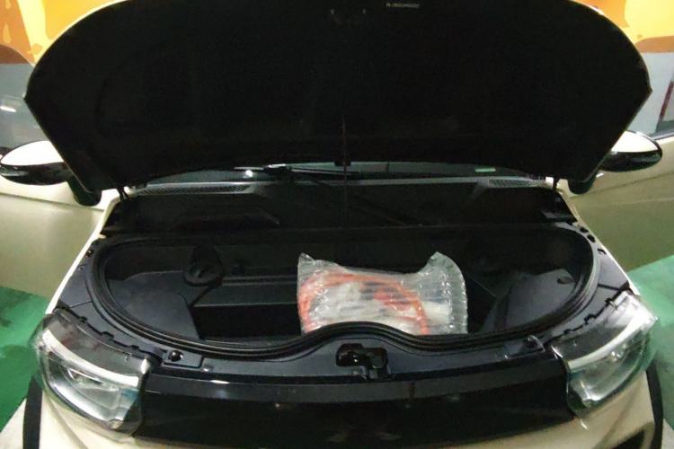 Used LITE 2019 R300 Force Edition Engine Bay