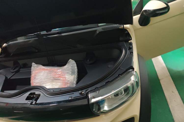 Used LITE 2019 R300 Force Edition Engine Bay Left
