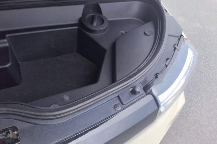 Used LITE 2019 R300 Force Edition Engine Bay Left