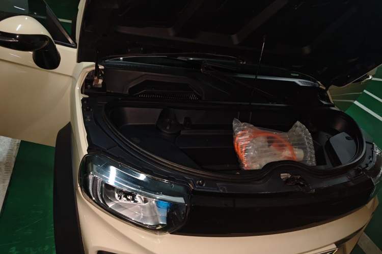 Used LITE 2019 R300 Force Edition Engine Bay Right