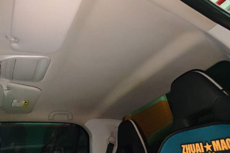 Used LITE 2019 R300 Force Edition Headliner