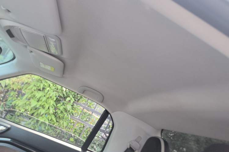Used LITE 2019 R300 Force Edition Headliner