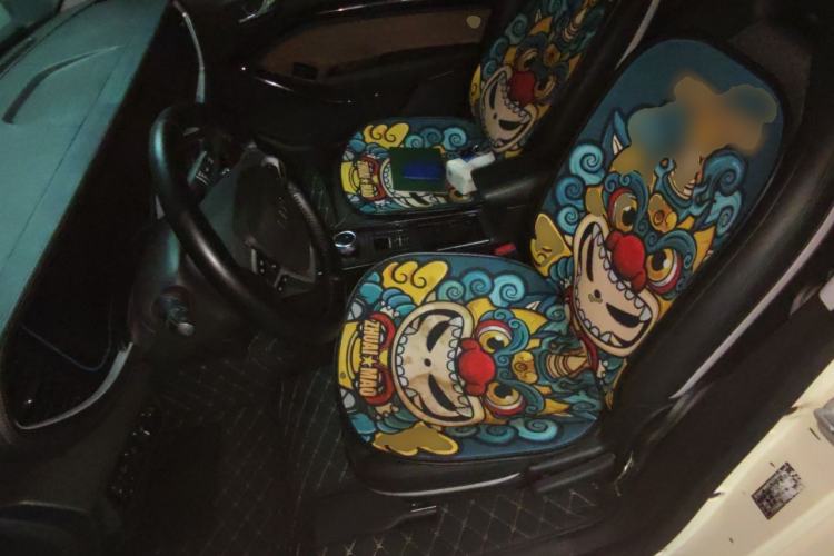 Used LITE 2019 R300 Force Edition Left Front Seat