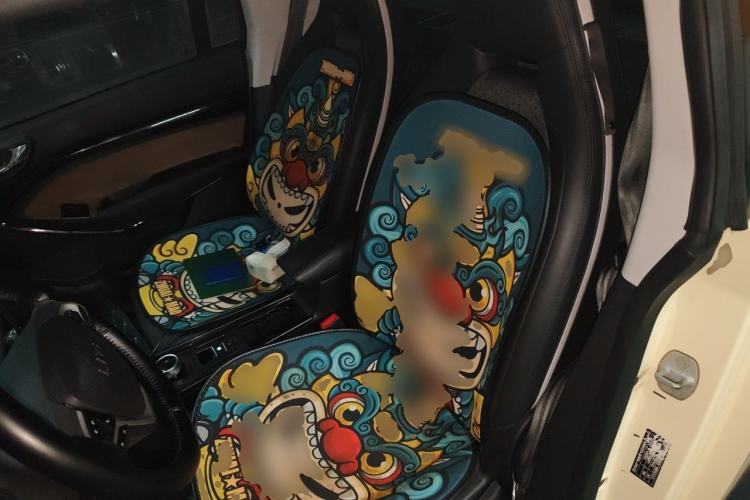 Used LITE 2019 R300 Force Edition Left Rear Seat