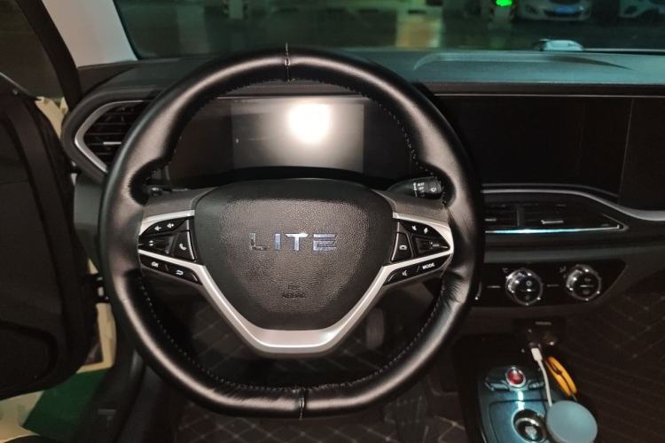 Used LITE 2019 R300 Force Edition Steering Wheel