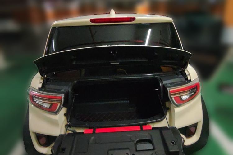 Used LITE 2019 R300 Force Edition Trunk
