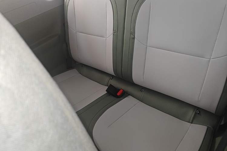 Used Livan Blue Balloon 2025 Model Dynamic Version Left Rear Seat