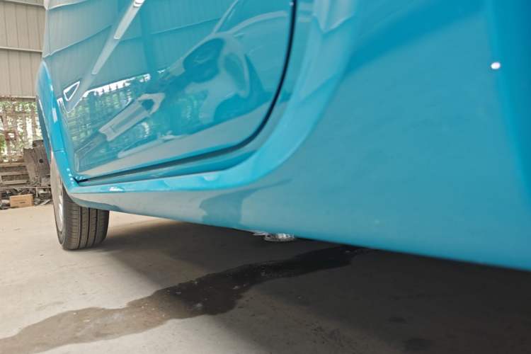 Used Livan Blue Balloon 2025 Model Dynamic Version Left Side Sill