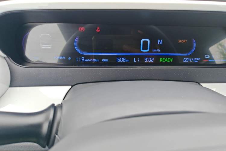 Used Livan Blue Balloon 2025 Model Dynamic Version Odometer Close Up