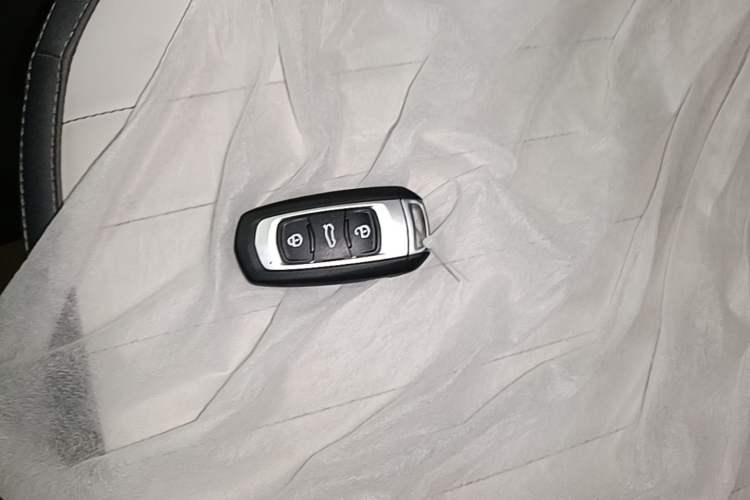 Used Livan Blue Balloon 2025 Model Dynamic Version Vehicle Key