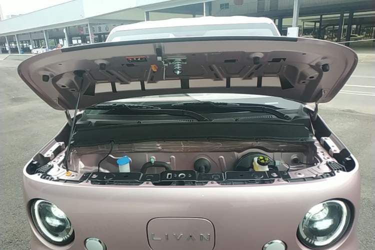 Used Livan Blue Balloon 2025 Model Dynamic Version Engine Bay