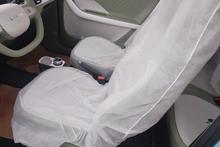 Used Livan Blue Balloon 2025 Model Dynamic Version Left Front Seat