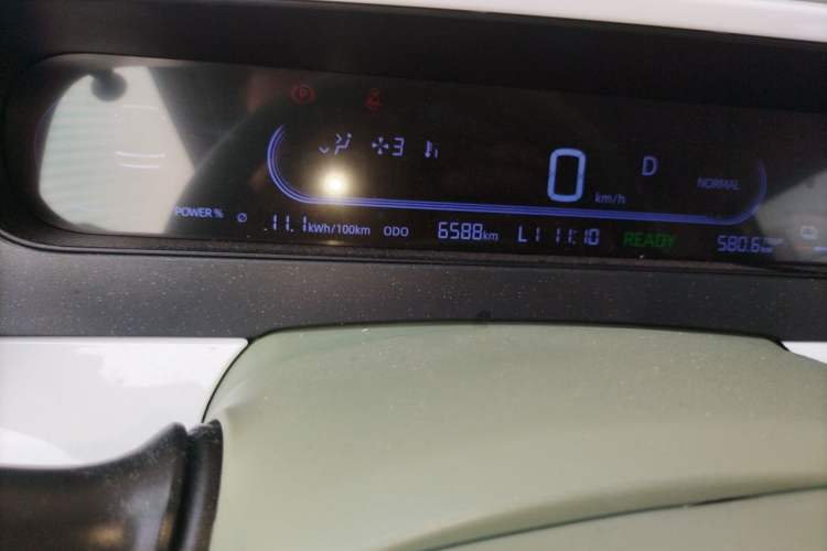 Used Livan Blue Balloon 2025 Model Dynamic Version Odometer Close Up