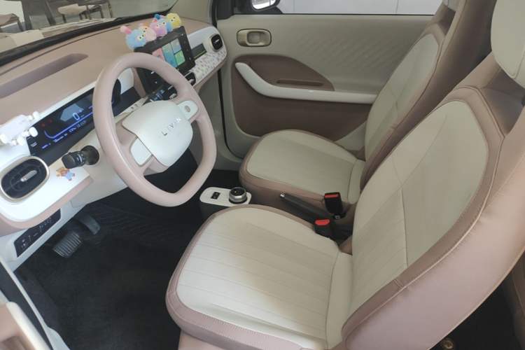 Used Livan Blue Balloon 2025 Model Dynamic Version Left Front Seat