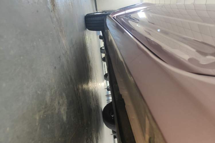 Used Livan Blue Balloon 2025 Model Dynamic Version Left Side Sill