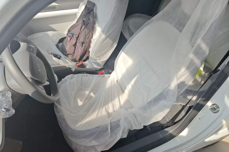 Used Livan Blue Balloon 2025 Model Dynamic Version Left Front Seat