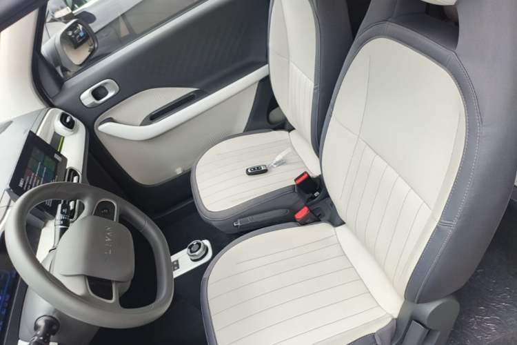 Used Livan Blue Balloon 2025 Model Dynamic Version Left Front Seat