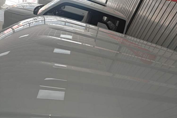 Used Livan Blue Balloon 2025 Model Dynamic Version Roof