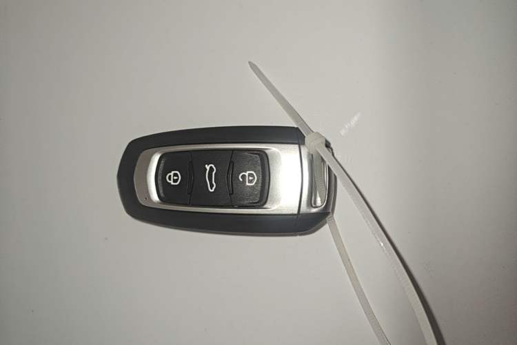 Used Livan Blue Balloon 2025 Model Dynamic Version Vehicle Key