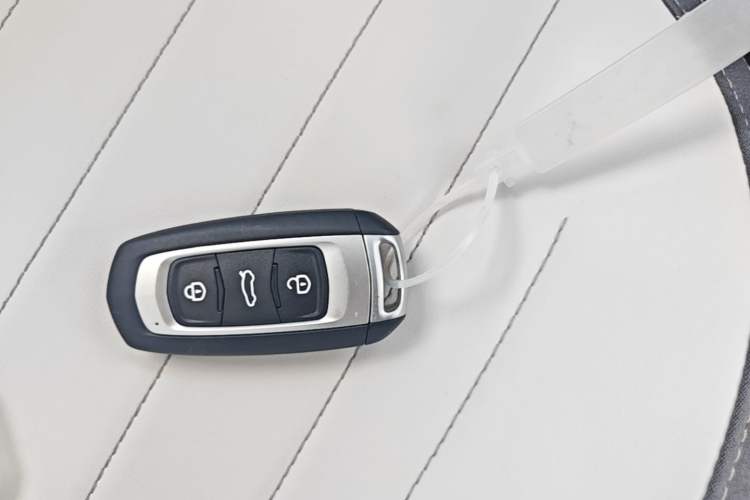 Used Livan Blue Balloon 2025 Model Dynamic Version Vehicle Key