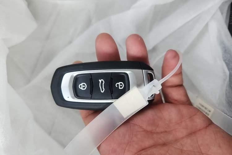 Used Livan Blue Balloon 2025 Model Dynamic Version Vehicle Key