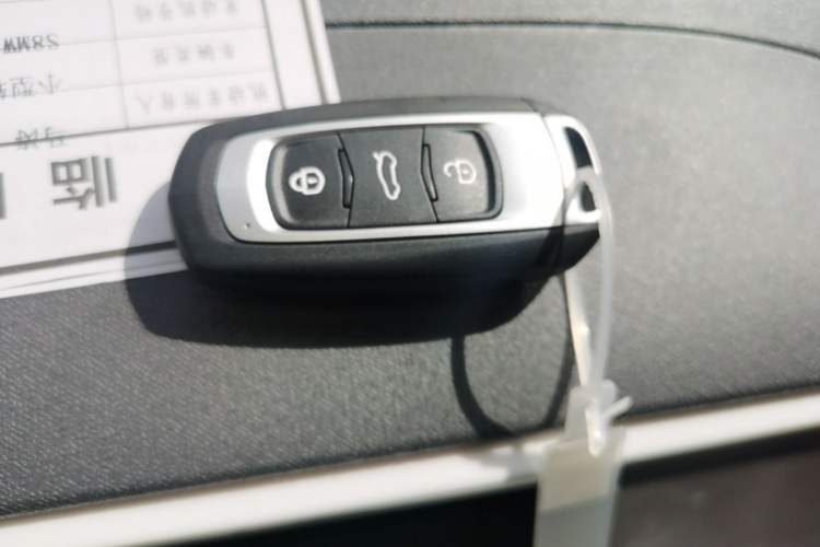 Used Livan Blue Balloon 2025 Model Dynamic Version Vehicle Key