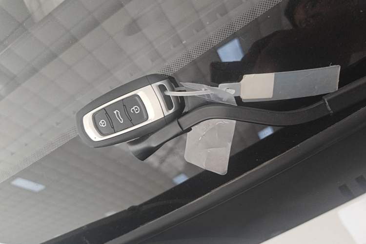 Used Livan Blue Balloon 2025 Model Dynamic Version Vehicle Key