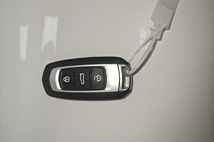 Used Livan Blue Balloon 2025 Model Dynamic Version Vehicle Key