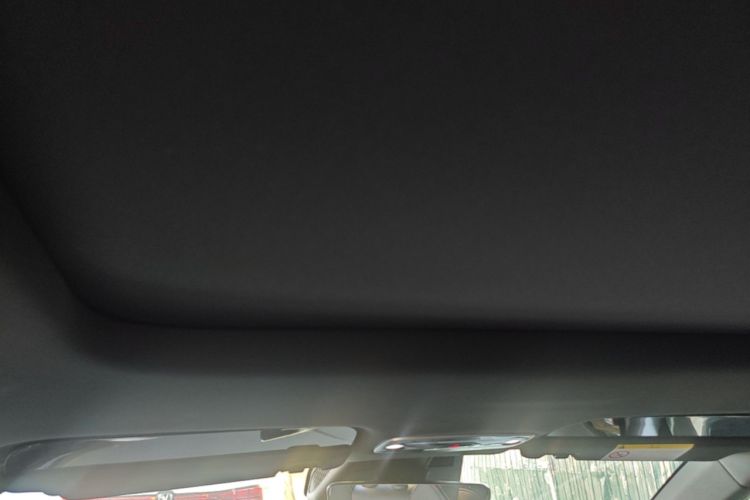 Used Livan 7 2023 605 km ZHU FENG Headliner