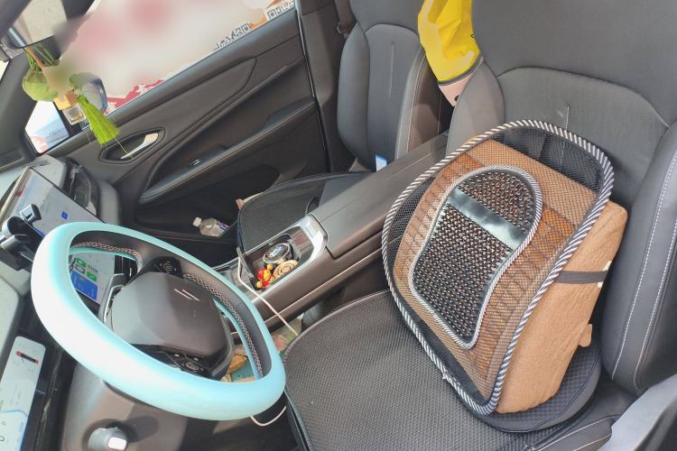 Used Livan 7 2023 605 km ZHU FENG Left Front Seat