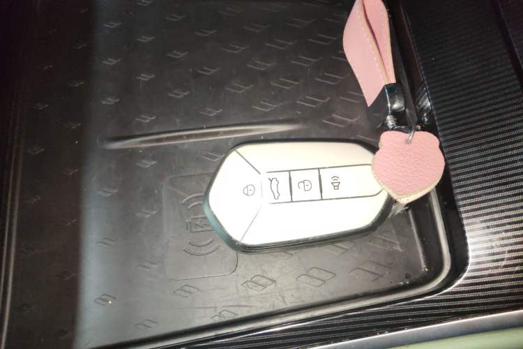 Used Livan 7 2023 605km Hunter Light Vehicle Key