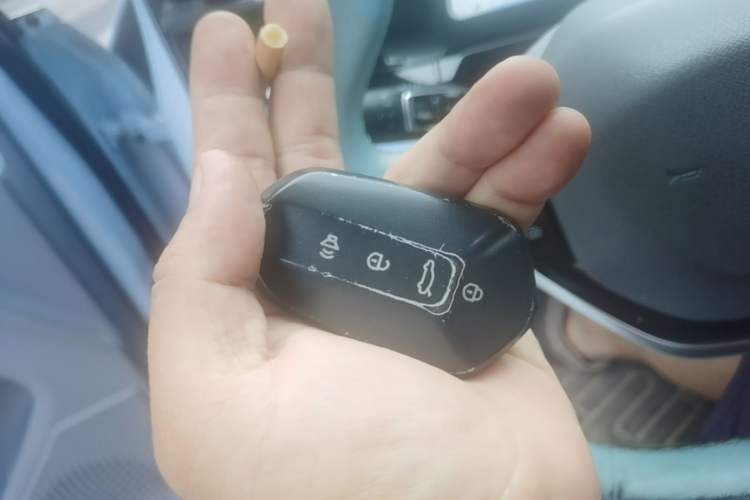 Used Livan 7 2023 605km Hunter Light Vehicle Key