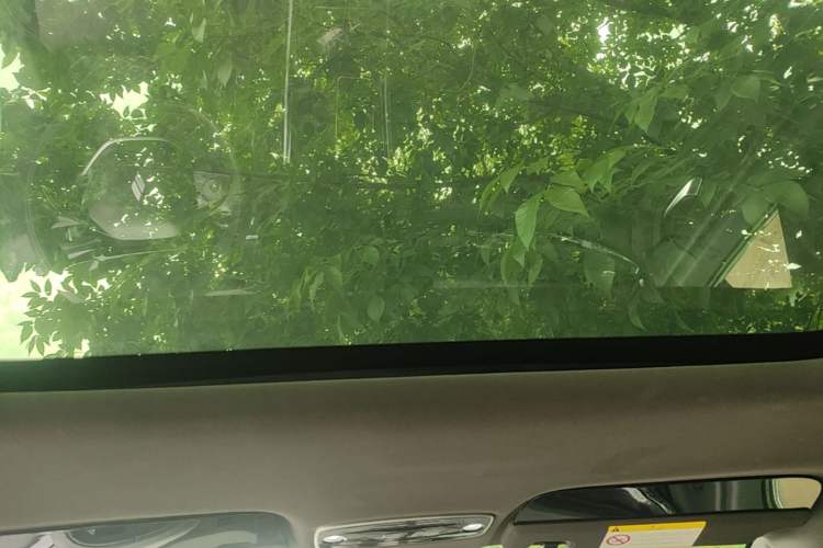 Used Livan 7 2023 605 km ZHU FENG Headliner