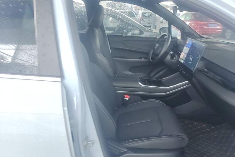 Used Livan 7 2024 605 km Executive Flagship Edition Right Front Seat