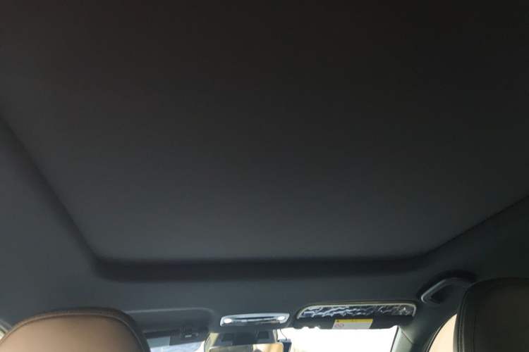 Used Livan 7 2024 605 km Glory Edition Headliner