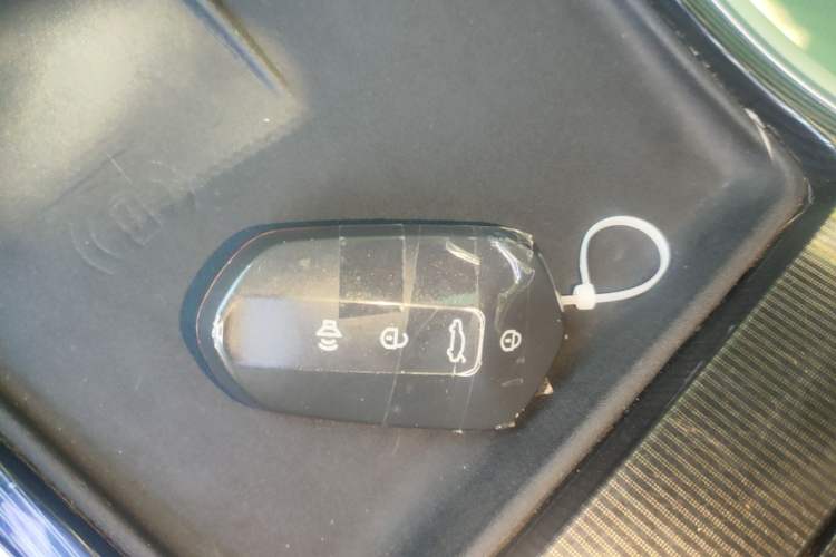 Used Livan 7 2024 605 km Executive Flagship Edition Vehicle Key