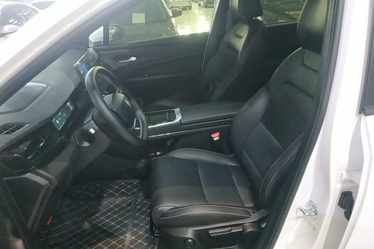 Used Livan 7 2024 450 km Business Glory Edition Left Front Seat