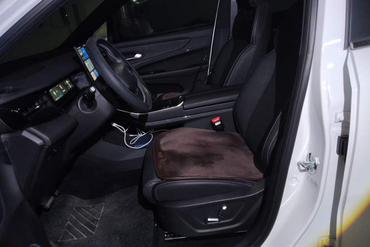 Used Livan 7 2024 450km Executive Version Left Front Seat