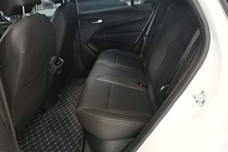 Used Livan 7 2024 450 km Business Glory Edition Left Rear Seat