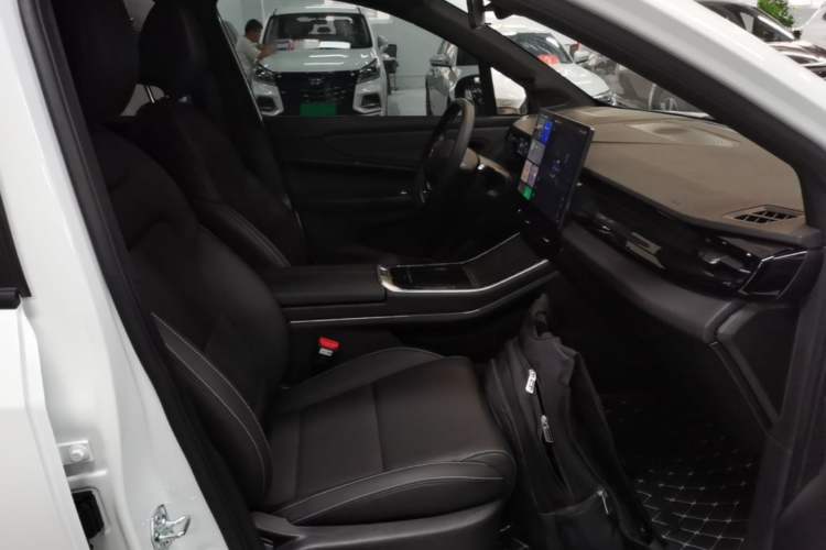 Used Livan 7 2024 450 km Business Glory Edition Right Front Seat