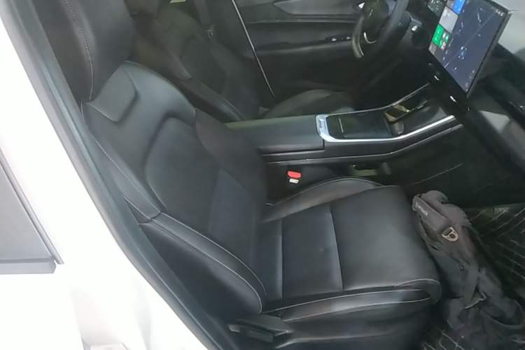 Used Livan 7 2024 450 km Business Glory Edition Right Front Seat