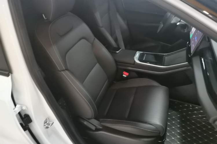 Used Livan 7 2024 450 km Business Glory Edition Right Front Seat
