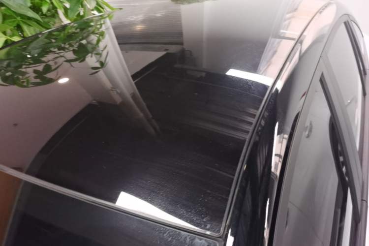 Used Livan 7 2024 450 km Business Glory Edition Roof