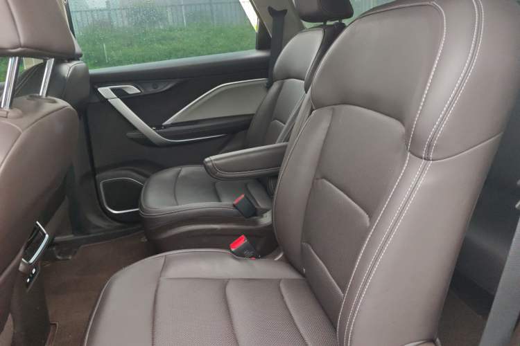 Used Livan 8 2025 Long-Range Travel Edition Left Rear Seat