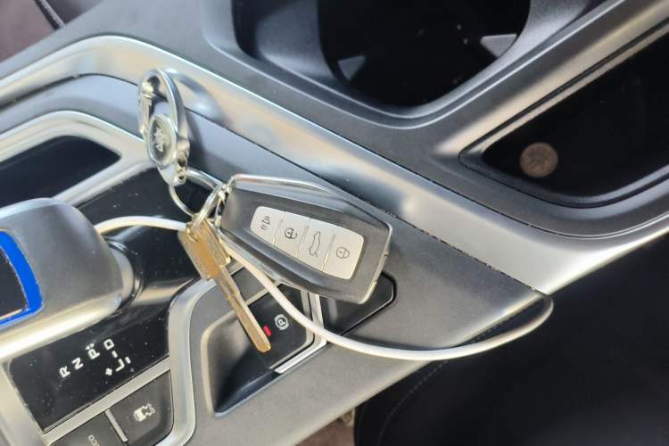 Used Livan 8 2025 Long-Range Travel Edition Vehicle Key