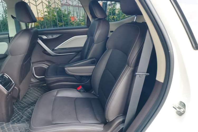Used Livan 8 2025 Long-Range Version Left Rear Seat