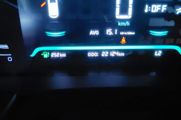 Used Livan 8 2025 Long-Range Version Odometer Close Up
